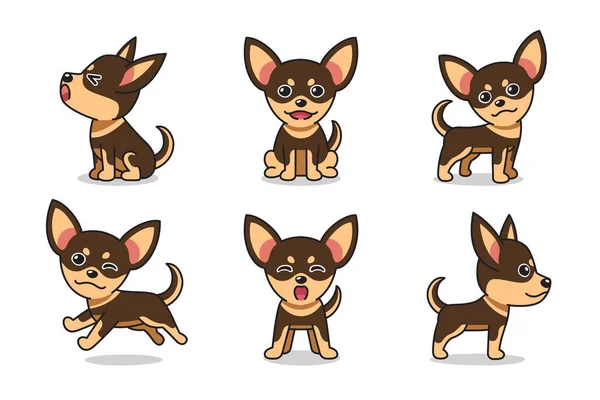 Vector Cartoon Set Chihuahua Dog Design — 图库矢量图片