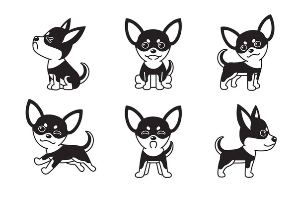 Tasarım Için Siyah Beyaz Chihuahua Köpek Vektör Karikatür Seti — Stok Vektör