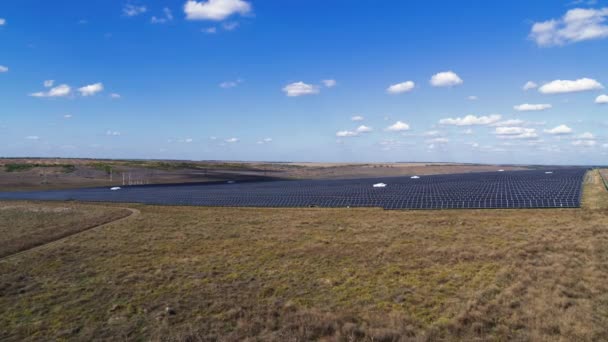 Solpaneler Gård i fält flygfoto — Stockvideo