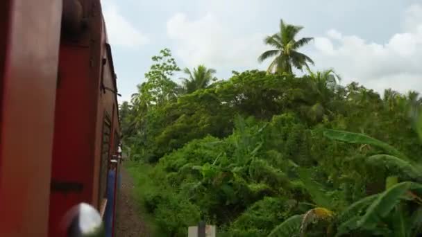 Viaggiare in treno in Asia. Vista da una carrozza aperta — Video Stock