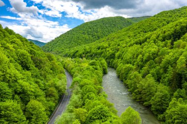 Nehir boyunca dağ yolunda trafik vardı güneşli bir günde hava manzarası vardı.