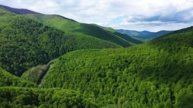 Güneşli yaz gününde güzel dağların manzarası...