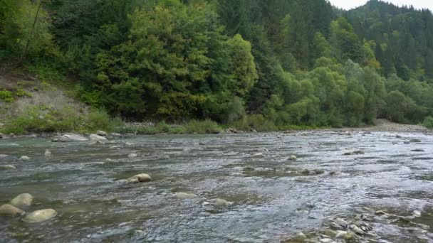 Щось гірська річка влітку в похмурий день — стокове відео