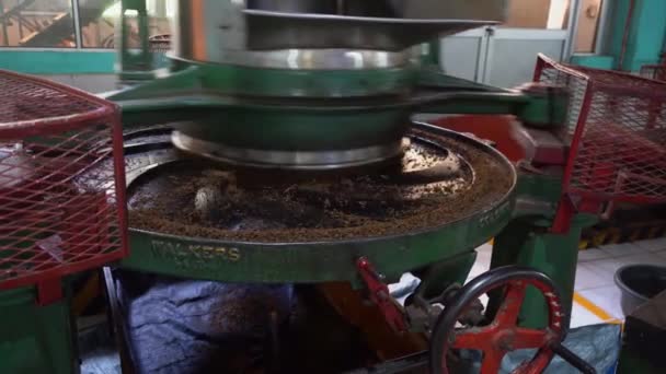 茶葉を粉砕するための機器。紅茶と紅茶の生産. — ストック動画