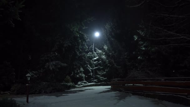 Nachtlampje schijnt door de vallende sneeuw. — Stockvideo