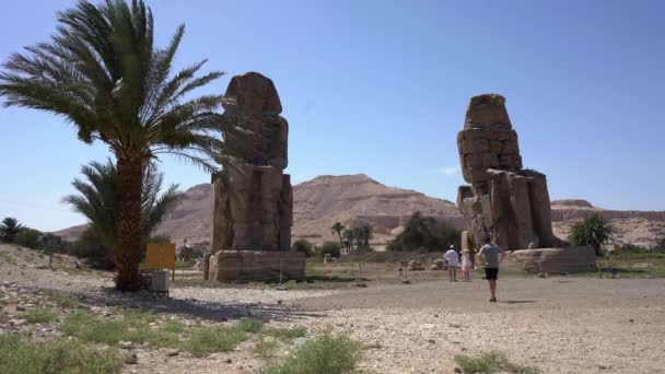 Colossi di Memnon a Luxor all'alba vista frontale attrazione turistica — Video Stock