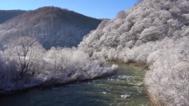Kışın dağ nehri akıntısı. Güneşli bir günde inanılmaz bir kış ormanı