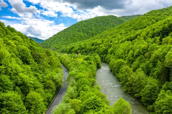 Güzel yeşil ağaçlarla kaplı Karpatya dağları gökyüzü manzarası.
