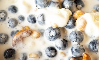 Güzel bir kahvaltı. Dondurma, fındık, sedir, yabanmersini ve bal. İyi sabahlar. Makro.