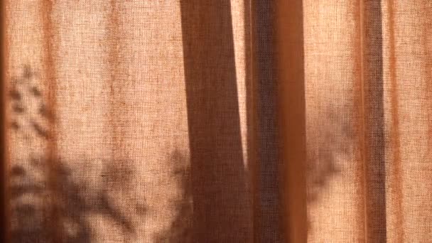 Красиві Лляні Штори Відображають Тіні Гілок Листя Дерев Зовні Сонячний — стокове відео