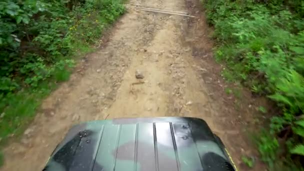 Road Ekstrem Suv Macerası Orman Yolunda Birinci Şahıs Bakış Açısı — Stok video