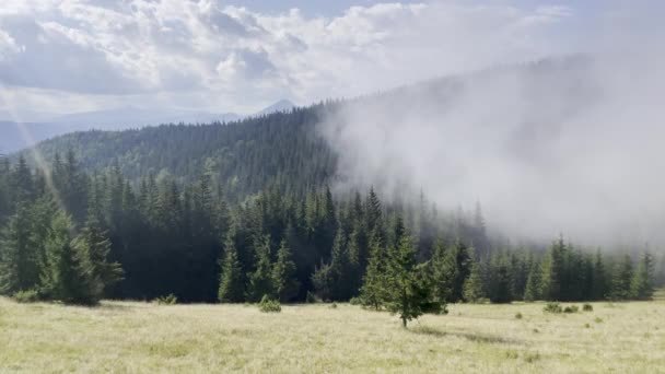 カルパチア山脈の朝霧は山の木々を素晴らしい速さで覆う — ストック動画
