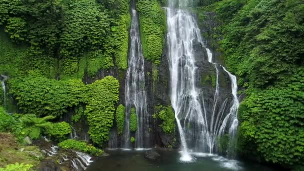 Красивий Водоспад Зеленому Лісі Природа Пейзажний Фон Вид Повітря — стокове відео