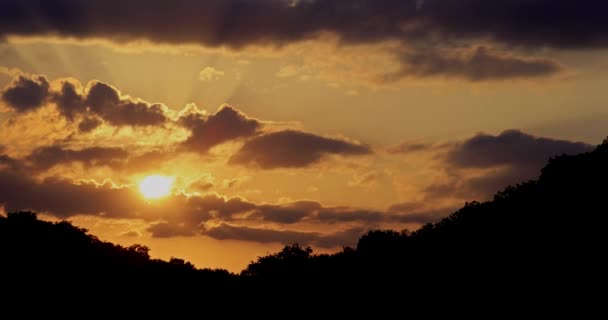 Oro maestoso arancio tramonto nuvoloso sulla foresta — Video Stock