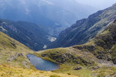 Karpatlar 'ın yüksek dağlarında güzel bir buzul