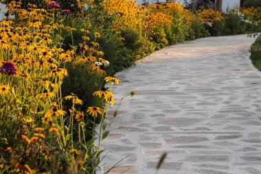 Güzel çiçeklerle çevrili kayalık bir yol.