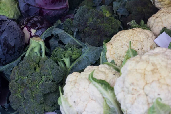Gerçek organik karnıbahar brokolisi ve lahana.