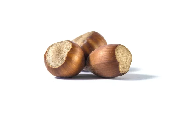 Fresh slightly roasted hazelnut isolated on white background — Stock Photo, Image