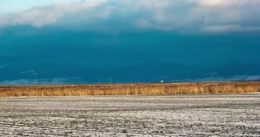 Field of crops with snowy ground on a cloudy day