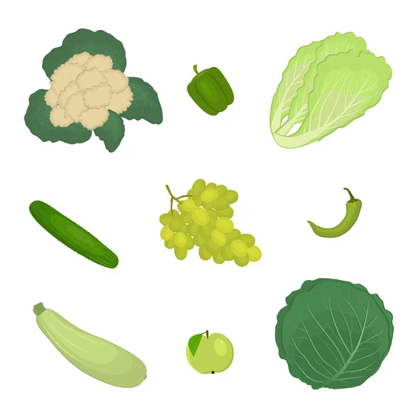 Verduras Frutas Verdes Aisladas Sobre Fondo Blanco Hay Calabacín Pepino — Vector de stock