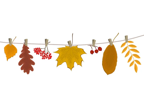 Des Feuilles Automne Des Baies Sont Accrochées Corde Linge Des — Image vectorielle