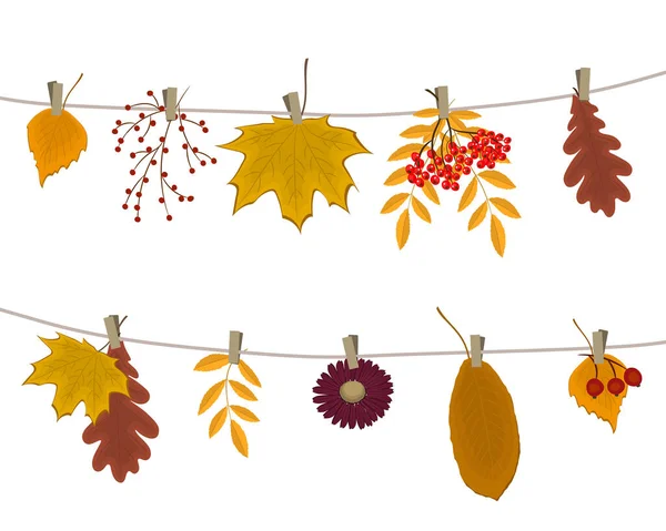 Podzimní Listí Bobule Visí Šňůrách Obrázku Jsou Listy Javoru Dubu — Stockový vektor