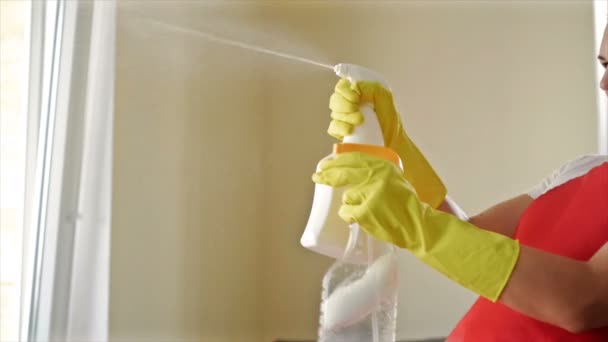 Moe van saai werk, de huisvrouw begon een leuk spel met de Hand Sprayers. — Stockvideo