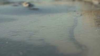 Siyah eldivenli bir erkek yumruğu donmuş bir su kütlesi ya da büyük bir su birikintisinde buzu kırmaya çalışır..