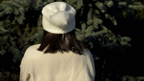 Retrato de una joven risueña sobre un fondo de abeto verde. La mujer lleva un suéter blanco, sombrero de punto blanco y manoplas grises. — Vídeos de Stock