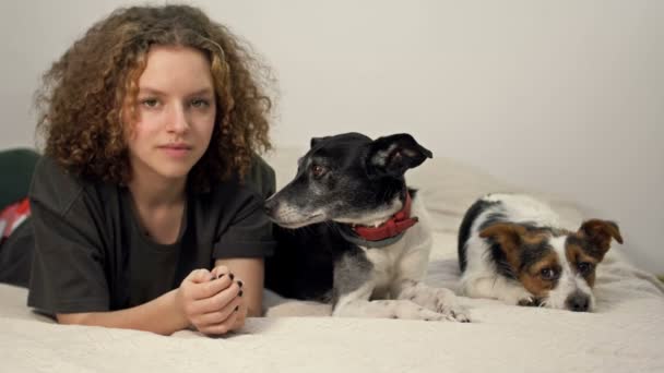 Portrait of a beautiful teenage girl with her pets - two dogs. — Stockvideo