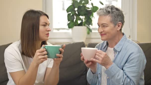 Vrolijke vrouwen van verschillende leeftijden drinken thee of koffie terwijl ze op de bank in de woonkamer zitten en hebben een aangenaam gesprek. Oudere moeder en volwassen dochter. Moederdag. — Stockvideo