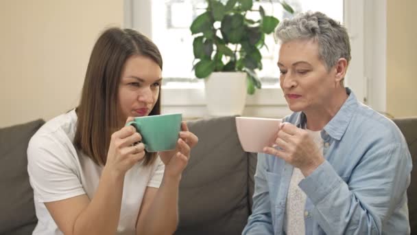 Le donne allegre di diverse età bevono tè o caffè mentre sono sedute sul divano in soggiorno e hanno una piacevole conversazione. Madre anziana e figlia adulta. Festa della mamma. — Video Stock