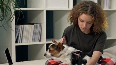 COVID-19 sırasında uzaktan öğrenme. Ödev yapan genç bir kız bilgisayarla yatakta oturuyor. Sevgili köpeğini kollarında tutuyor..