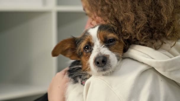 Genç kız kollarını tutuyor ve sevgili komik köpeğini okşuyor. Yakın plan.. — Stok video