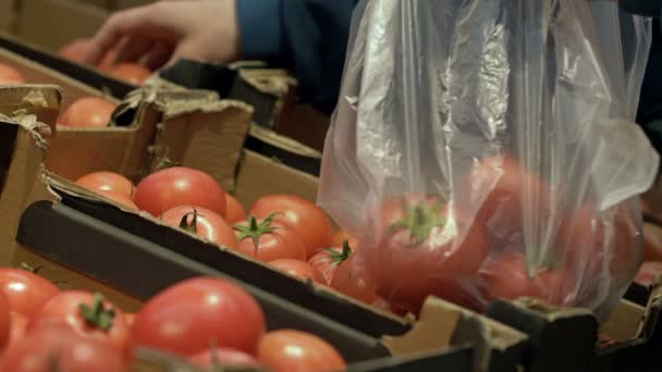 Customer chooses tomatoes at a grocery market or supermarket. — Vídeos de Stock