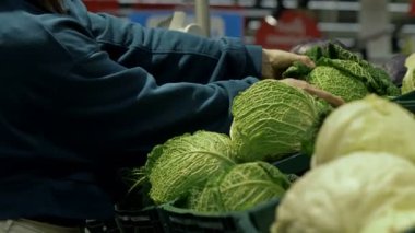 Genç bir kadın marketten ya da süpermarketten Savoy lahanası alır..