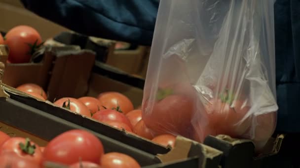 Customer chooses tomatoes at a grocery market or supermarket. — Vídeos de Stock