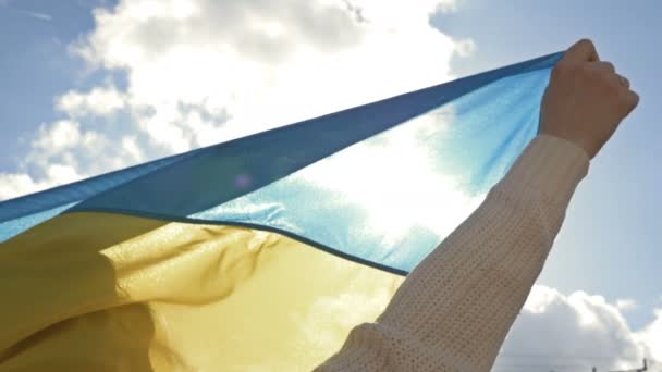 우크라이나 여성들은 흔들며 우크라이나 국기를 하늘에 — 비디오