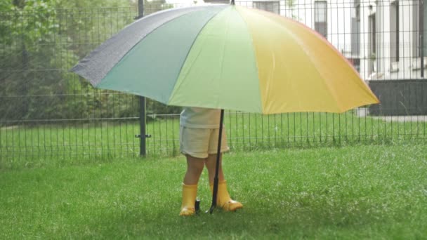 Little Girl Yellow Rubber Boots Large Colorful Umbrella Midst Summer — Stock video
