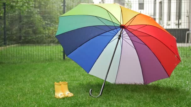 Yellow Childrens Rubber Boots Next Colorful Umbrella Rain — Stockvideo