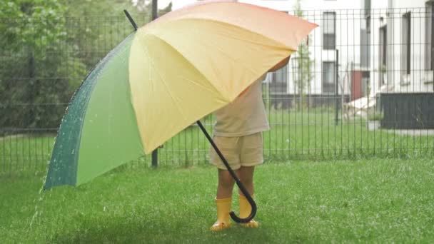 Маленькая Девочка Жёлтых Резиновых Сапогах Большим Красочным Зонтиком Посреди Летнего — стоковое видео