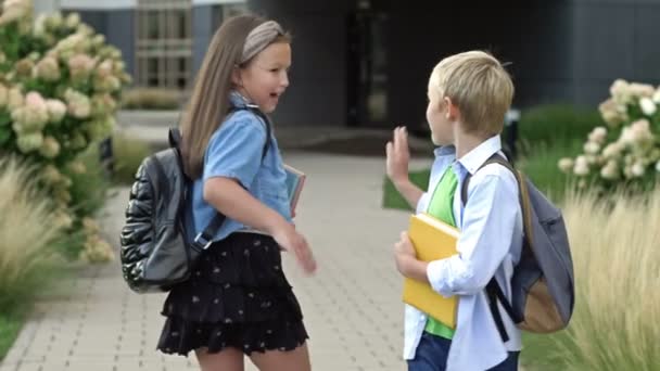 Klassenkameraden Ein Junge Und Ein Mädchen Grundschüler Begrüßen Sich Wenn — Stockvideo