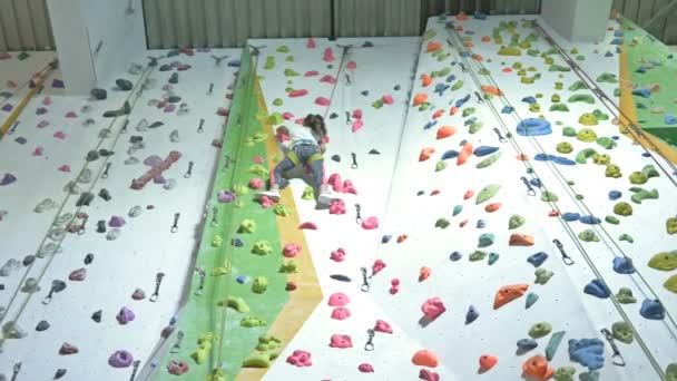 Arrampicata Sportiva Bambini Piccola Alpinista Scala Con Sicurezza Una Parete — Video Stock