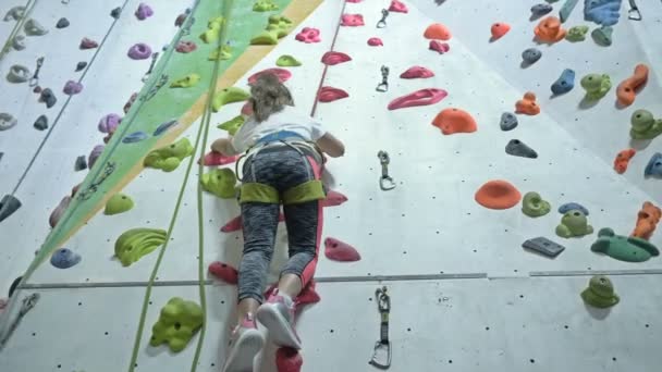 Das Tapfere Kleine Mädchen Klettert Einer Modernen Kletterhalle Eine Künstliche — Stockvideo