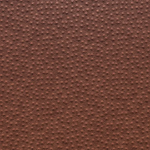 Genuine ostrich leather. The textured background of the ostrich skin is close. 3D-rendering — Stock Photo, Image