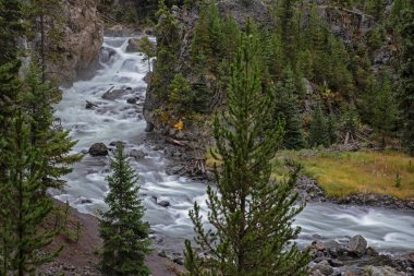 Yellowstone vadilerinden akan vahşi bir nehir.