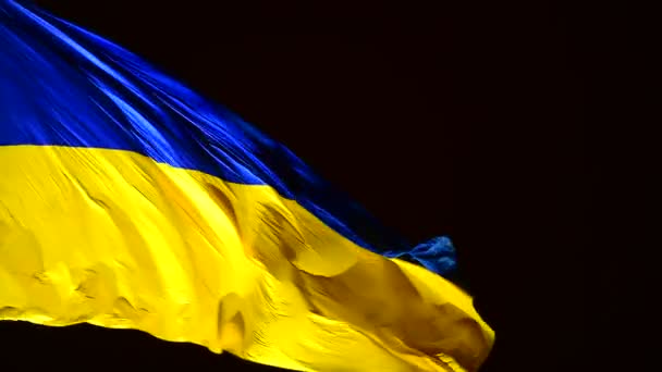 Ukraine National Flag Night Windy Weather Video Stabilization — Stock Video