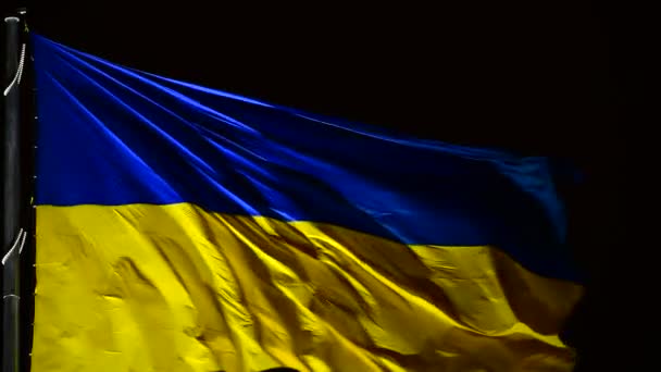 Ukrainische Nationalflagge Der Nacht Windiges Wetter Video Ohne Stabilisierung — Stockvideo
