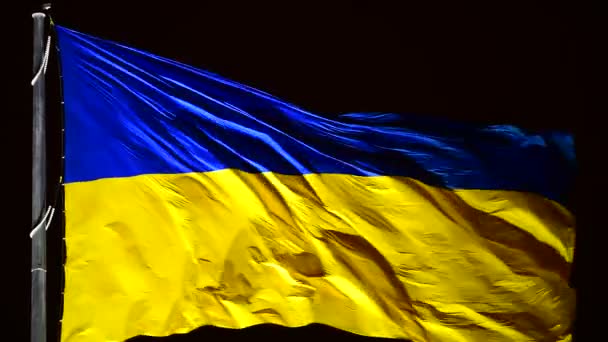 Oekraine Nationale Vlag Nachts Winderig Weer Video Zonder Stabilisatie — Stockvideo