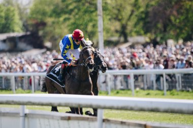 ALMANY, COLOGNE - 18 Nisan 2022: Atçılık FC-Renntag - Carl Jaspers Preis güneşli havalarda. 